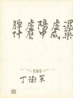 脾虚阳虚湿盛吃什么中成药