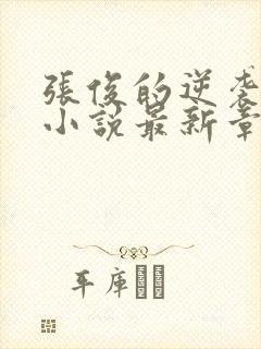 张俊的逆袭之路小说最新章节