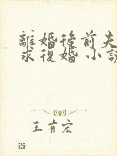 离婚后前夫哭着求复婚 小说完整