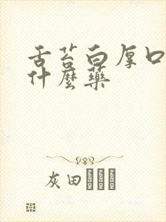 舌苔白厚口苦吃什么药