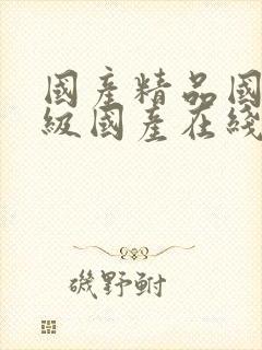 国产精品国产三级国产在线