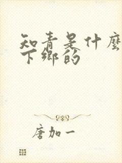 知青是什么时候下乡的