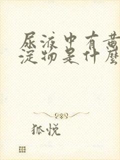 尿液中有黄色沉淀物是什么原因