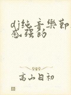 dj纯音乐节奏感强的