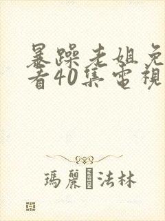 暴躁老姐免费观看40集电视剧