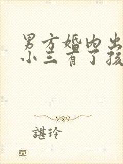 男方婚内出轨和小三有了孩子怎么办