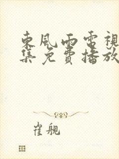 东风雨电视剧全集免费播放在线观看封面