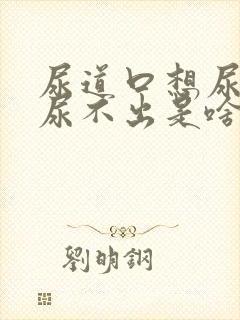 尿道口想尿其实尿不出是啥病