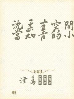 沈柔有空间下乡当知青的小说