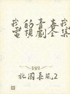 我的青春我做主电视剧全集免费观看封面