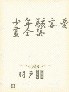 少年骇客爱表漫画全集