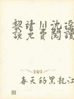 黎靖川沈瑶初小说免费阅读最新章节