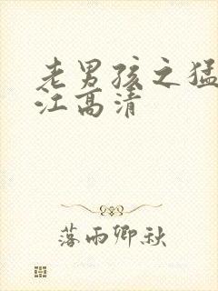 老男孩之猛龙过江高清封面