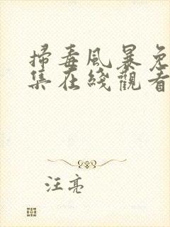 扫毒风暴免费全集在线观看