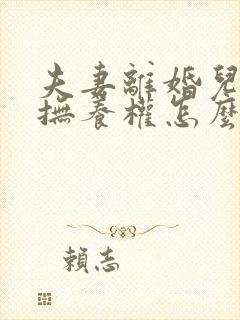 夫妻离婚儿子的抚养权怎么判封面