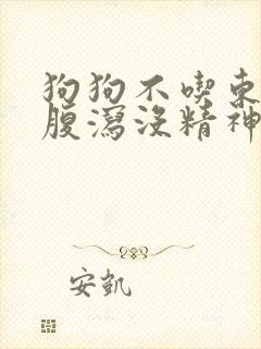 狗狗不吃东西还腹泻没精神怎么办