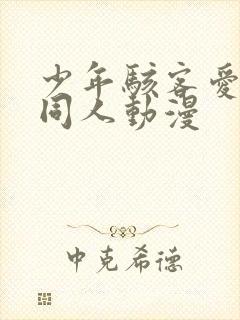 少年骇客爱表 同人动漫封面