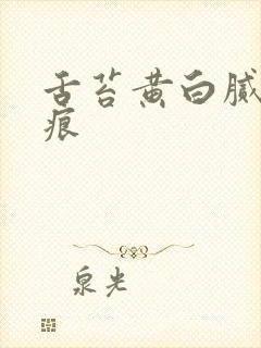 舌苔黄白腻有齿痕