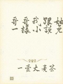 哥哥我跟她们不一样小说免费阅读