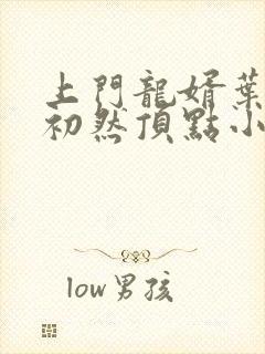 上门龙婿叶辰萧初然顶点小说封面