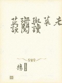 芷珊与菜老板小说阅读