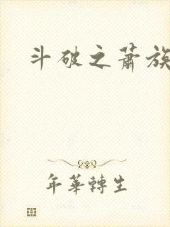 斗破之萧族冰圣