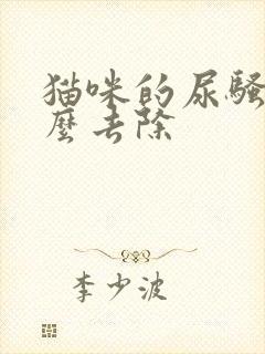 猫咪的尿骚味怎么去除