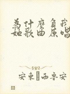 为什么负我不负她歌曲原唱歌词