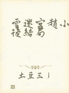 雪迷宫赵小光最后结局