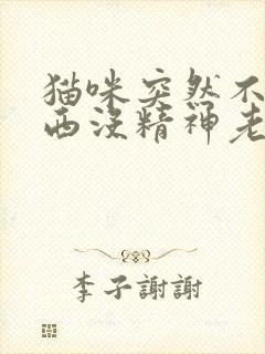 猫咪突然不吃东西没精神老是趴着