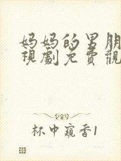 妈妈的男朋友电视剧免费观看全集高清封面