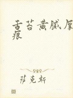 舌苔黄腻厚有齿痕