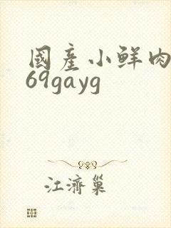 国产小鲜肉1069gayg封面