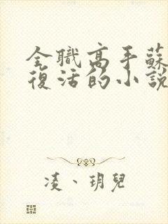 全职高手苏沐秋复活的小说