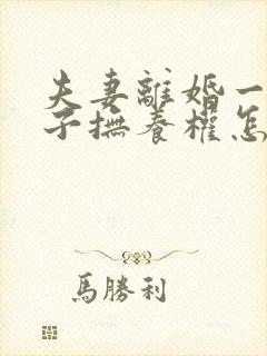 夫妻离婚一个孩子抚养权怎么判定