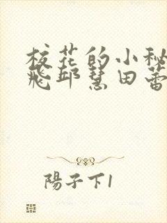 校花的小秘密周飞邱慧田蕾小说