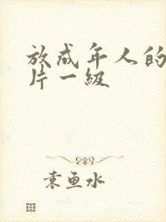 放成年人的黄色片一级