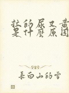 拉的尿又黄又臭是什么原因