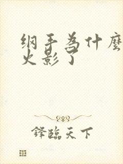 纲手为什么不当火影了