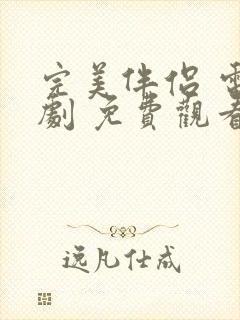 完美伴侣 电视剧 免费观看