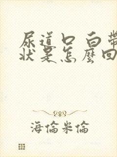 尿道口 白带脓状是怎么回事封面