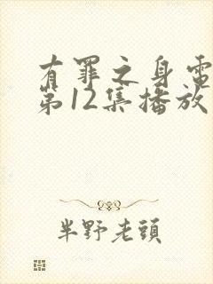 有罪之身电视剧第12集播放