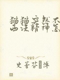 猫猫突然不吃东西没精神怎么回事封面