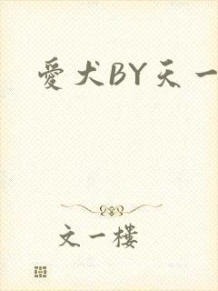 爱犬BY天一封面