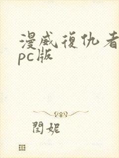 漫威复仇者联盟pc版封面