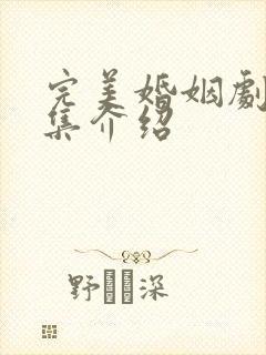 完美婚姻剧情分集介绍