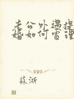 老公外遇提出离婚如何处理封面