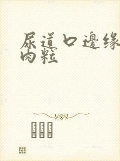 尿道口边缘有小肉粒封面