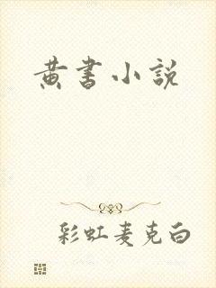 黄书小说