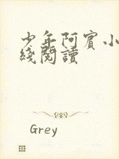 少年阿宾小说在线阅读封面